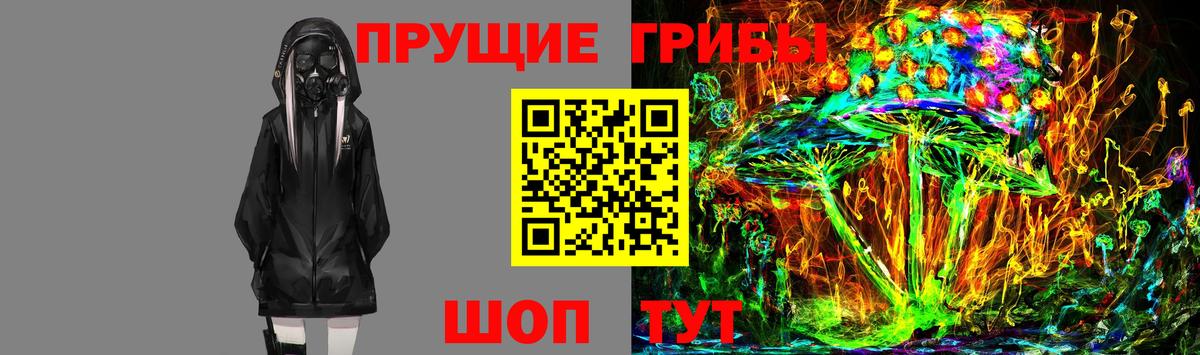 Кызыл  Псилоцибиновые грибы мухоморы  Вход с VPN 
